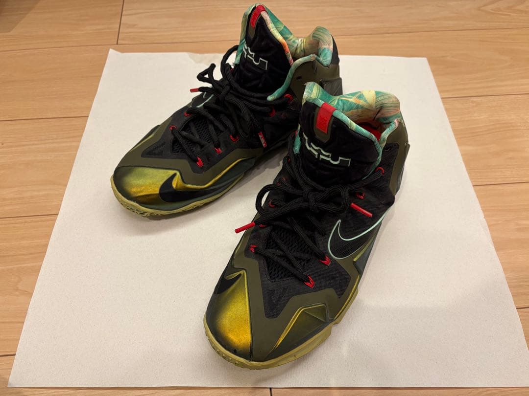 Nike Lebron 11 27.5cm レブロン　バッシュ