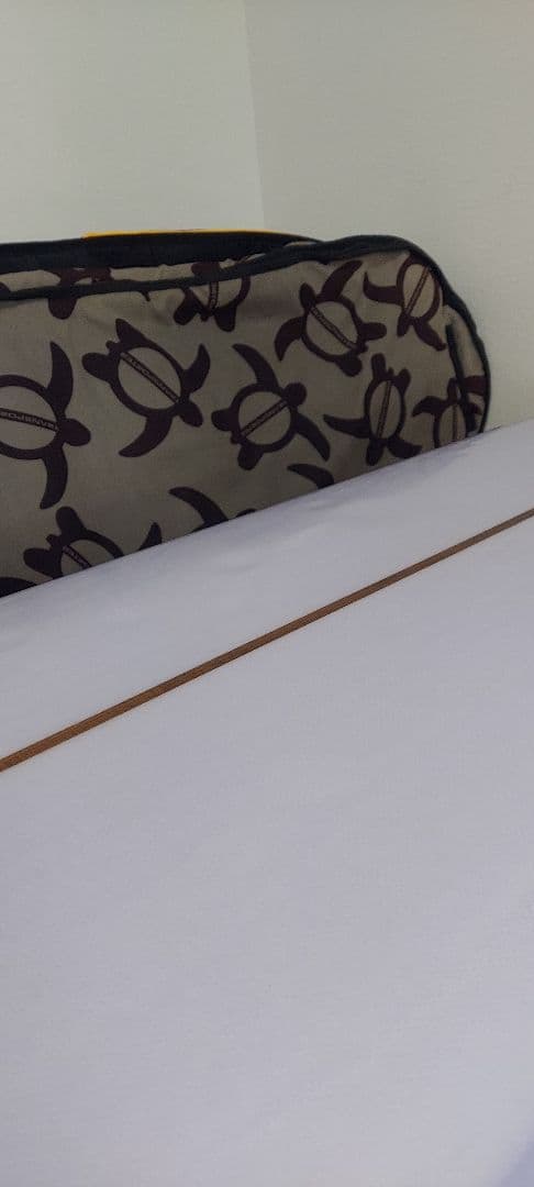 ロックダンス　浜瀬海モデルロングボード9.2