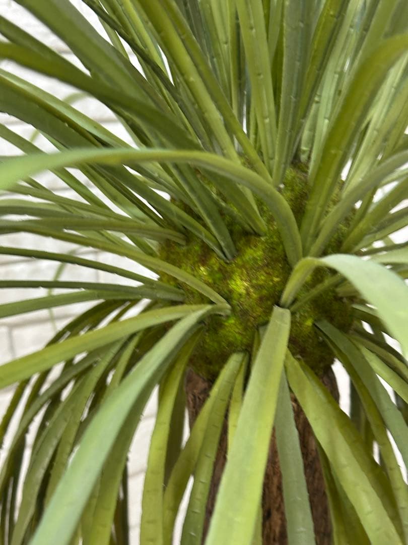 【東京23区配送無料】定価9万円　エミリオロバ　ユッカ　造花　観葉植物　高級　緑