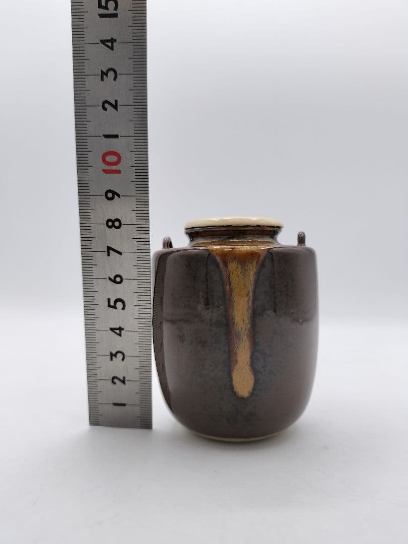 c846 茶入 笹枕写 膳所　淡海陽炎園 尋牛斎箱書 木箱 茶道具 古物