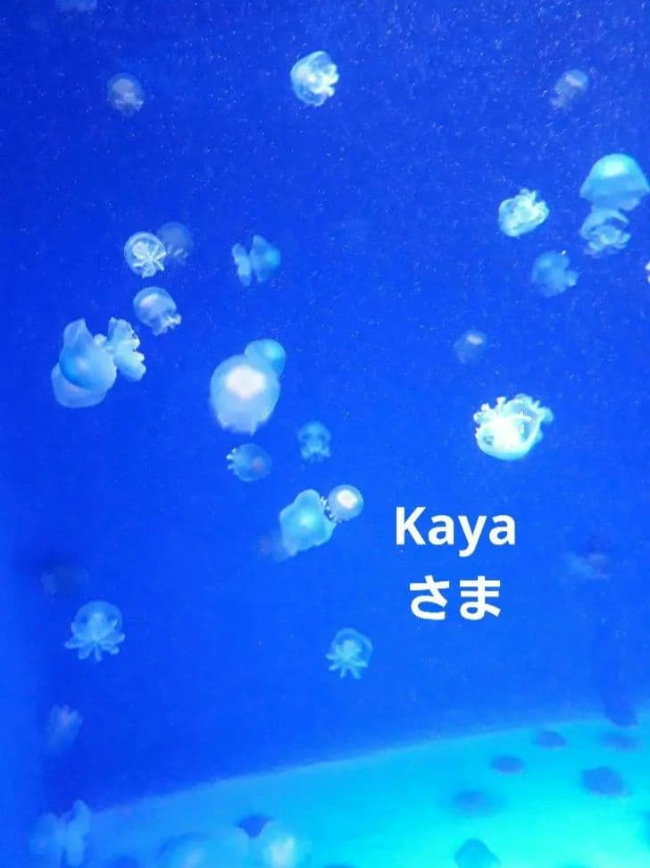 Kayaさま　４点