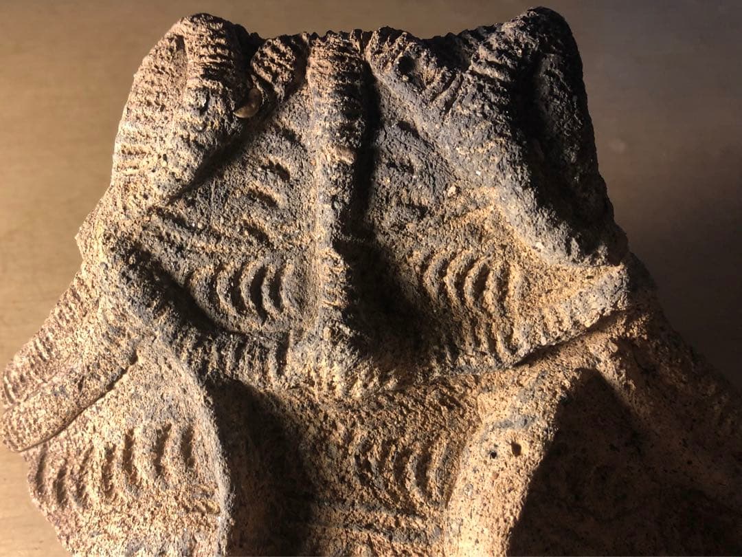 「縄文土器の欠片 No.507」です。