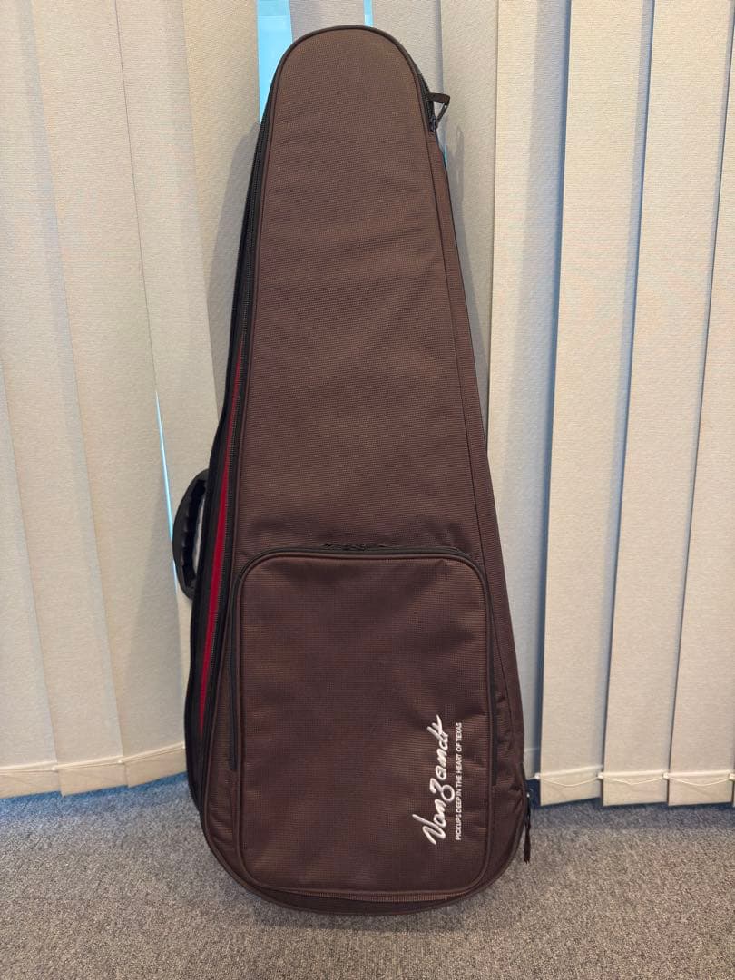 ギター Vanzandt STV-R1