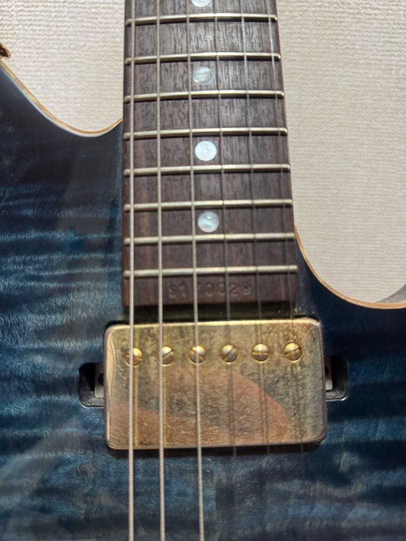 Sugi guitars DS496 IR オリジナルセミハード付き