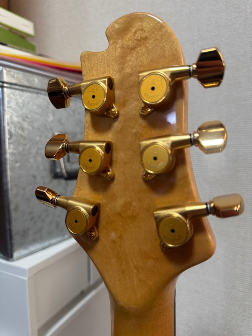 Sugi guitars DS496 IR オリジナルセミハード付き