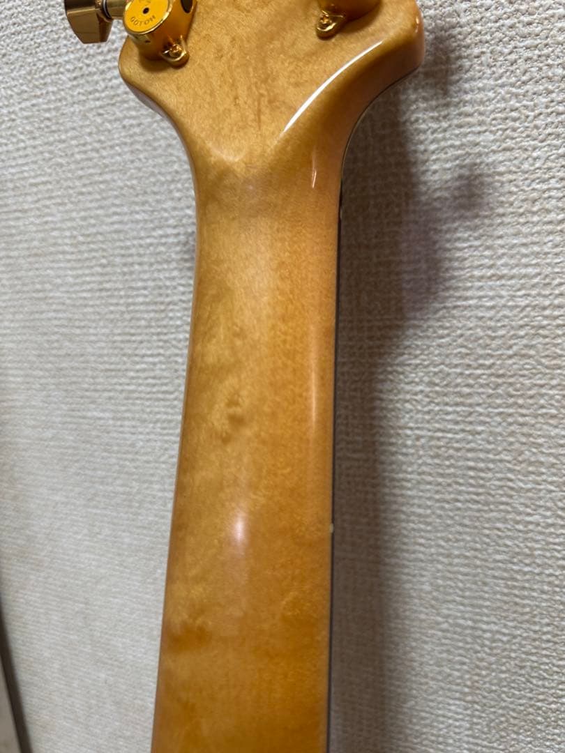 Sugi guitars DS496 IR オリジナルセミハード付き