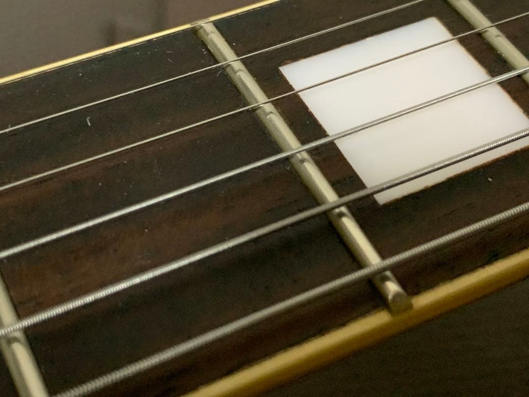 フォトジェニック Photo Genic LPC レスポールカスタム 黒