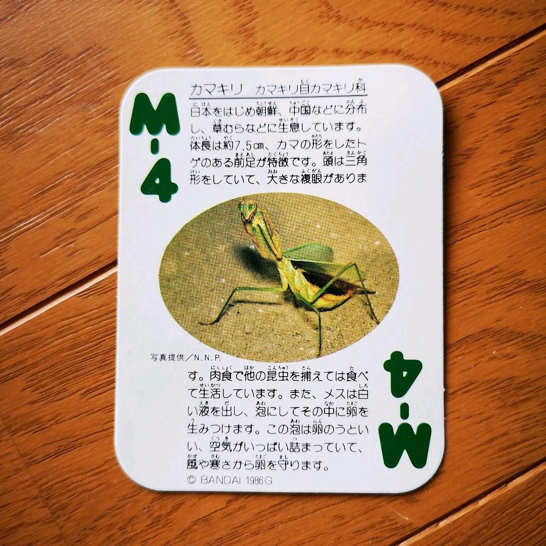 虫タマゴラス カマキリ