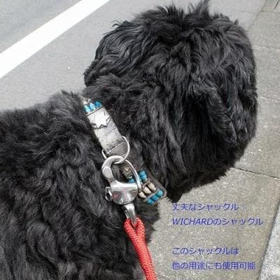 WICHARD ステンレス スイブル・スナップシャックル キーホルダー