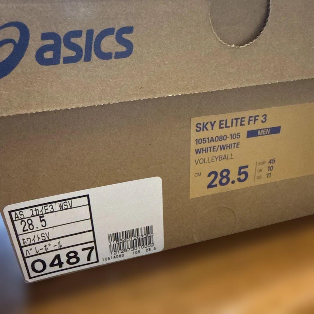バレーボールシューズ 28.5