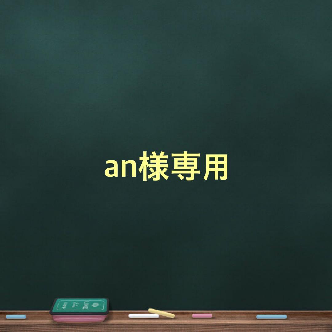 キャットフード an