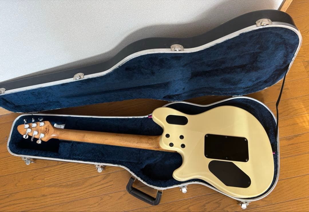 PeaveyWolfgang Special 、ハードケース付き