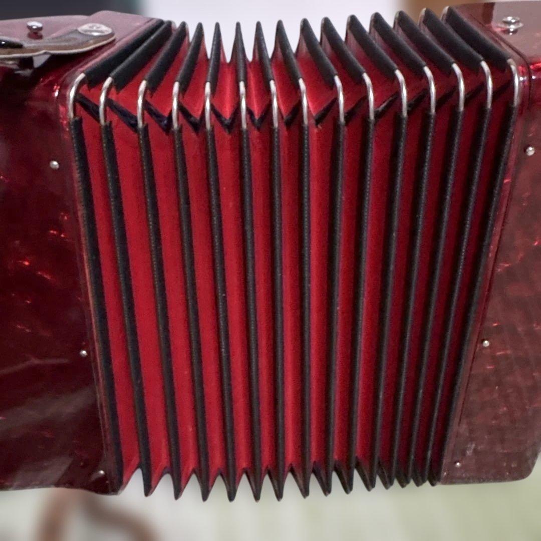 ヤマハ　YAMAHA アコーディオン　ピアノ　鍵盤　楽器　演奏　赤　ソフトケース