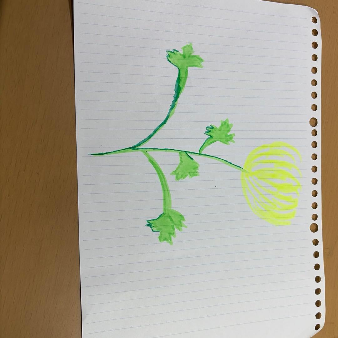 菊の絵　自分で描きました　イラスト　即購入可