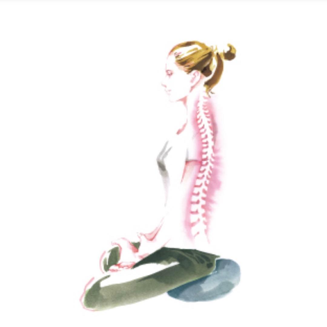 ZAF 座禅クッション｜代官山 蔦屋書店購入｜未使用保管