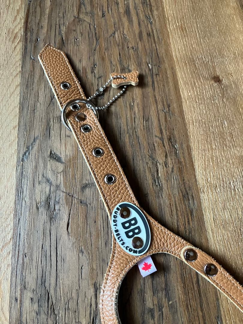 バディベルト5号BUDDY BELTS未使用