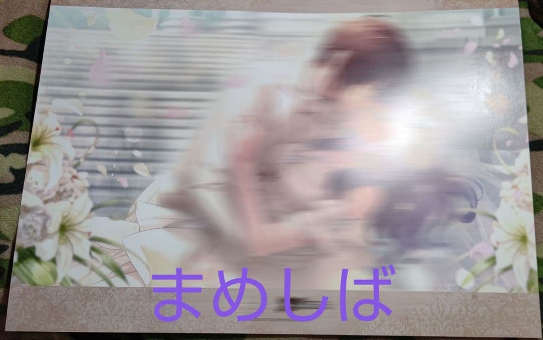 【コドリア】 オトガ ランチョン シクレB(ルパン、カルディア)