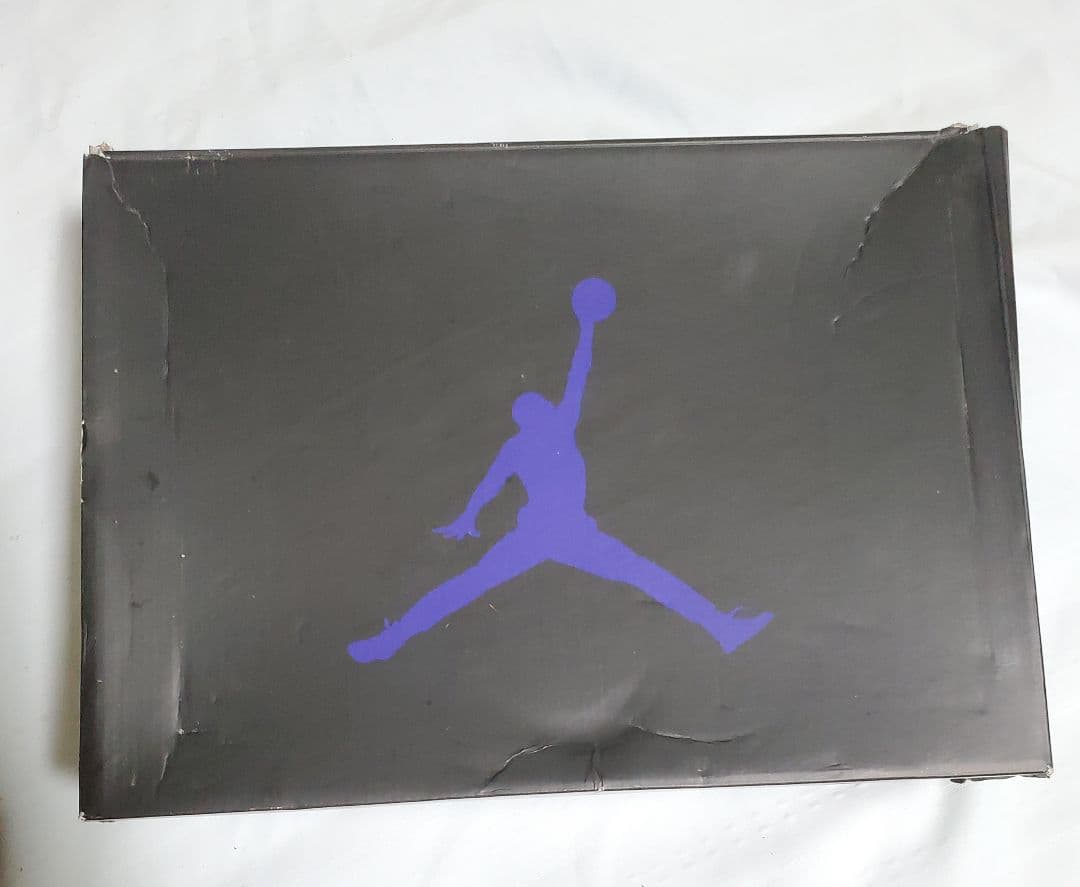Air Jordan 5 ホワイト/パープル