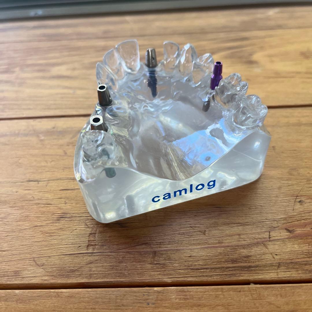 camlog カムログ　インプラントの模型