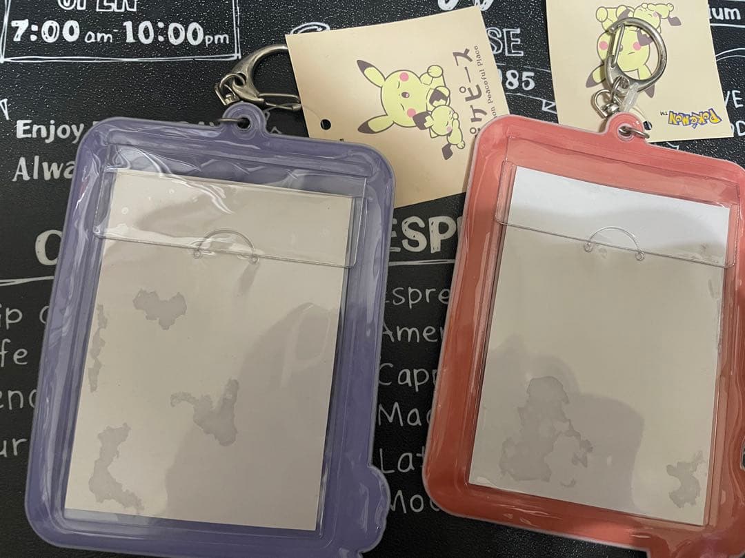 ポケピース　トレカケース　カードケース　ヒバニー　ニャスパー