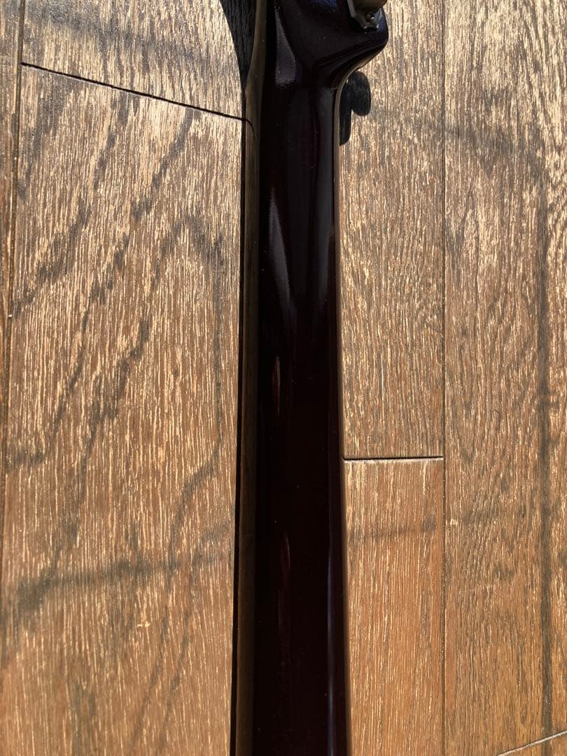 ムーン　レゲエマスター　超美品　レアなミディアムスケール　MOON専用ケース付き