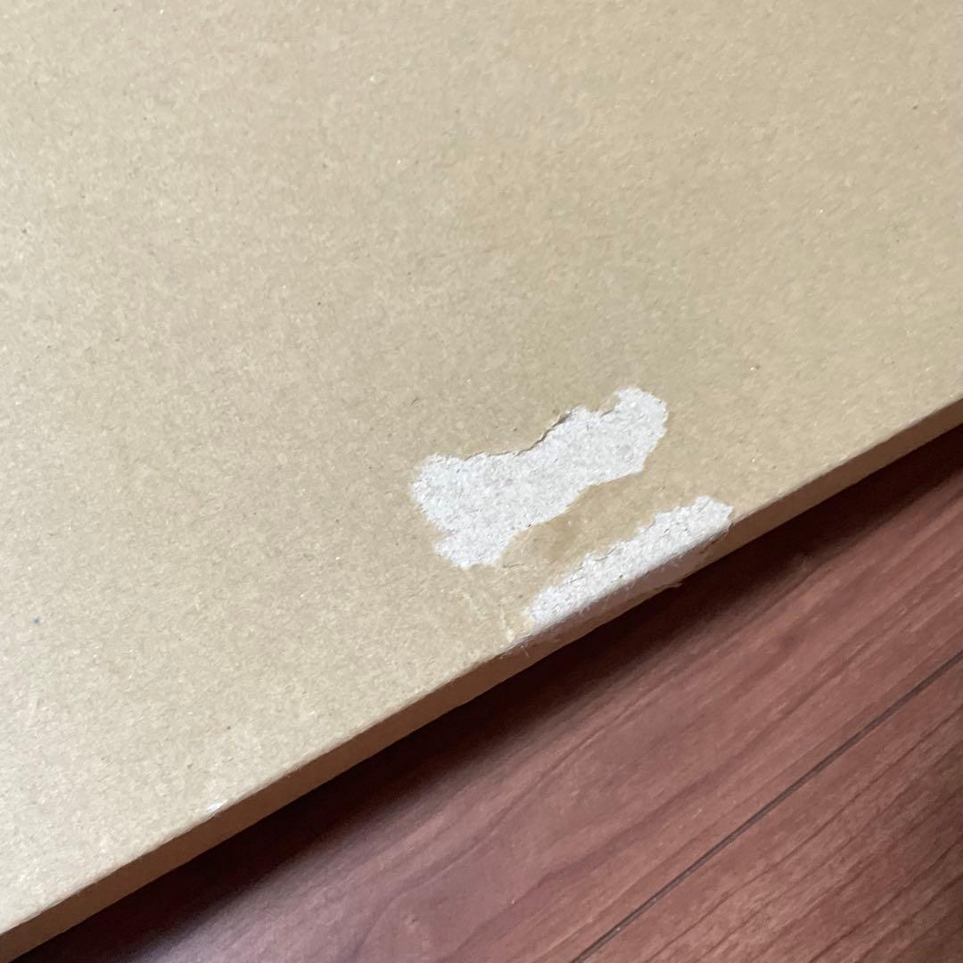 エヴァンゲリオン展 複製原画 渚カヲル