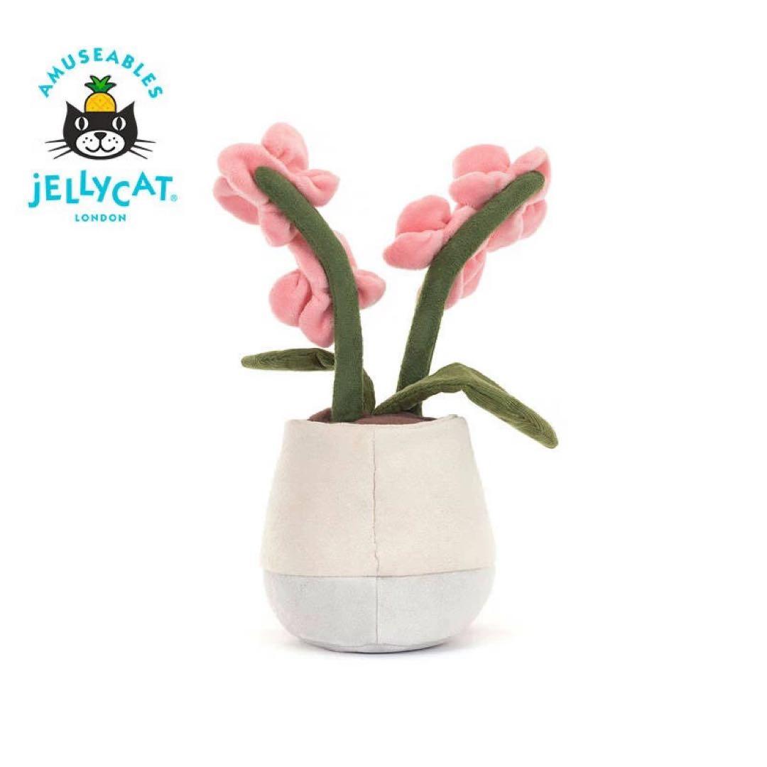 新作　新品　ジェリーキャット　花　蘭　胡蝶蘭　ラン　観葉植物　ぬいぐるみ