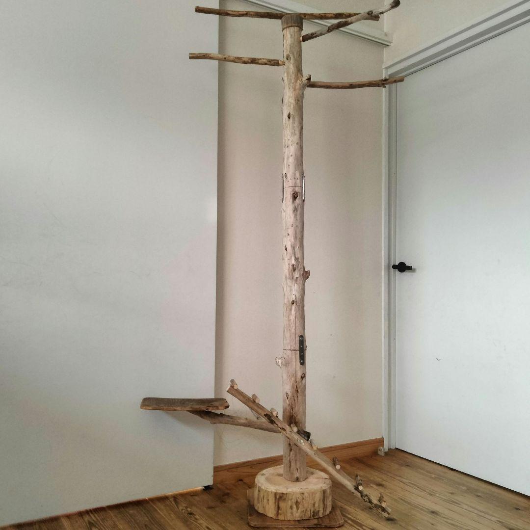 ひげ バードアスレチックジム  大型 天然木 自然木  止まり木