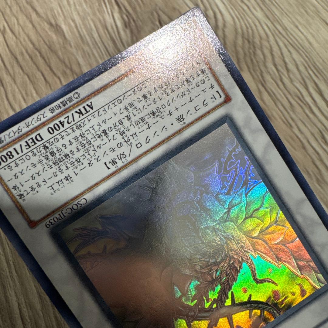 遊戯王　ブラック・ローズ・ドラゴン ホロ　CSOC-JP039
