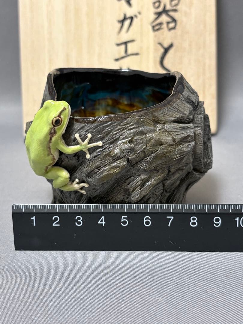 腰越祐貴　樹器とアマガエル