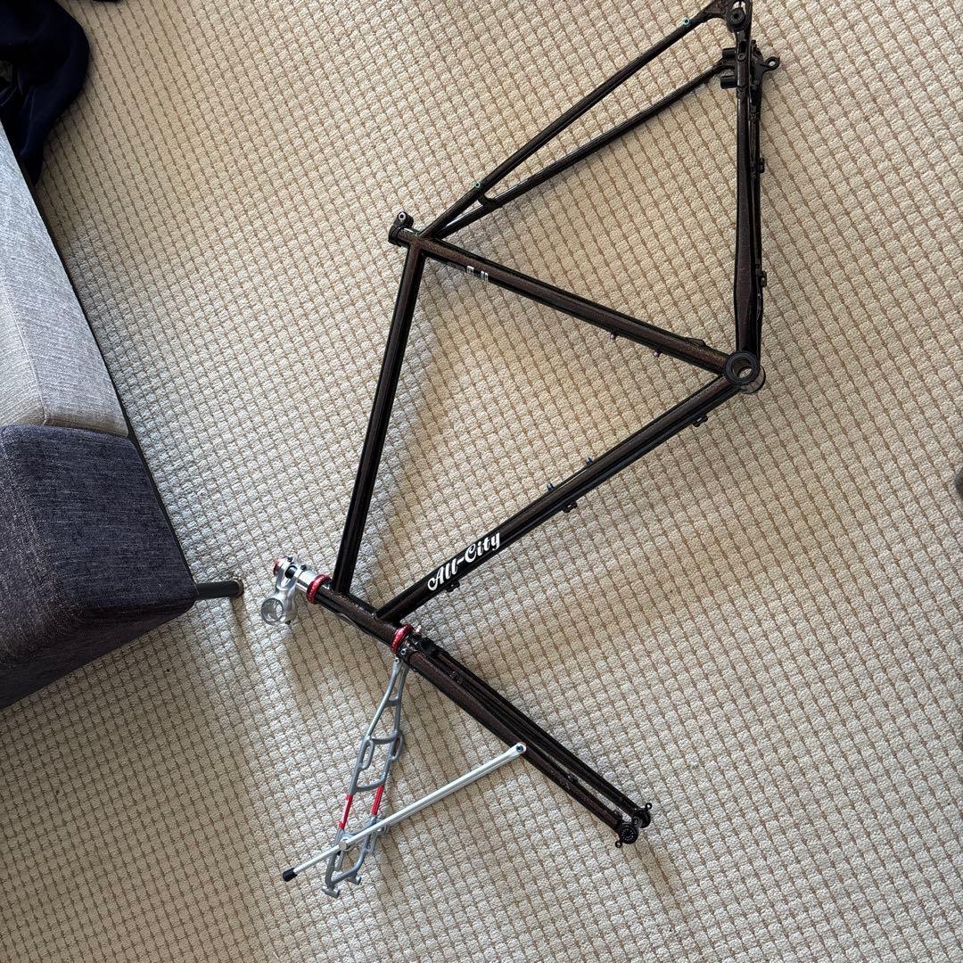 オールシティ　スーパープロフェショナル　サイズ52 salsaフロントラック