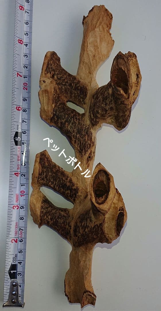 カンボジア産 奇形種 原木 一部 おまけ付き