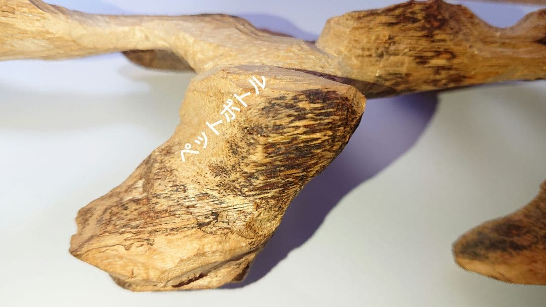 カンボジア産 奇形種 原木 一部 おまけ付き