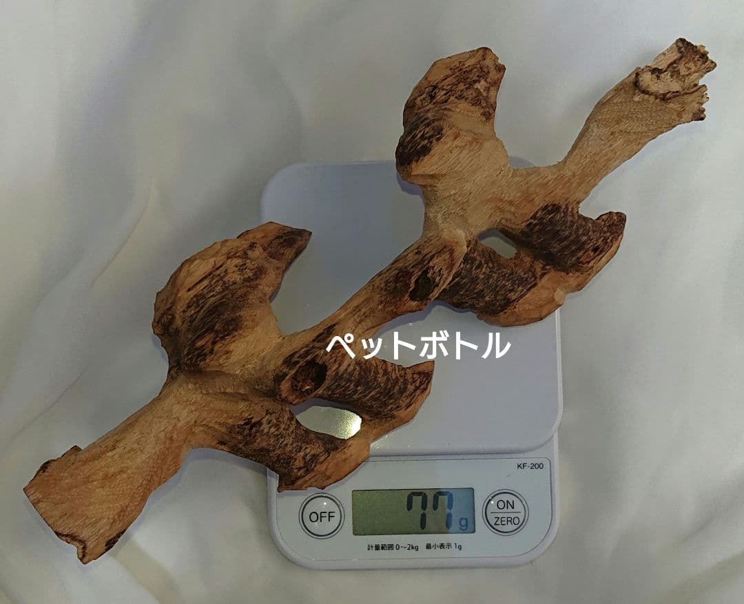 カンボジア産 奇形種 原木 一部 おまけ付き