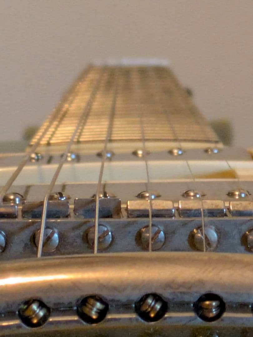 タ*坊様 #Burny #LSD-55N-EGA #イグアナバースト #ケース