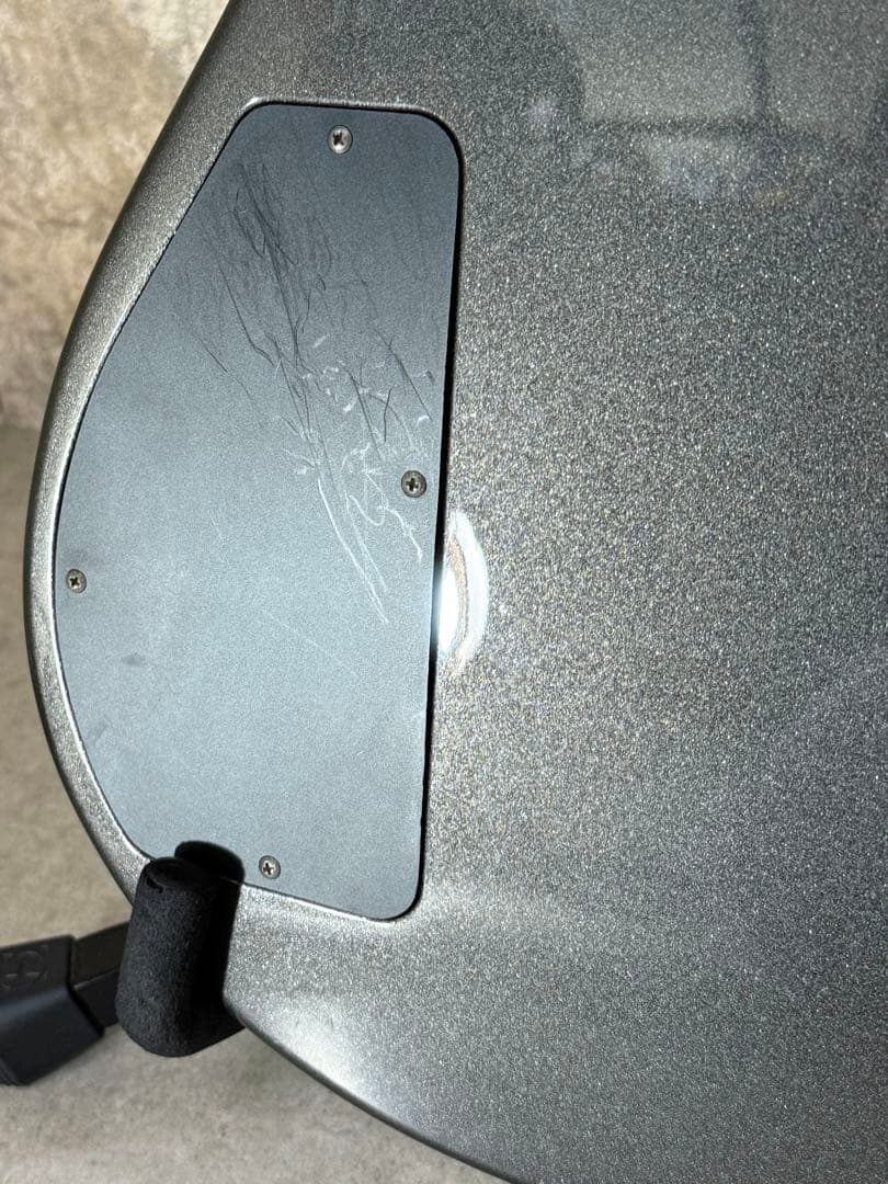 【希少】FERNANDES APG series 整備・清掃・弦交換済み