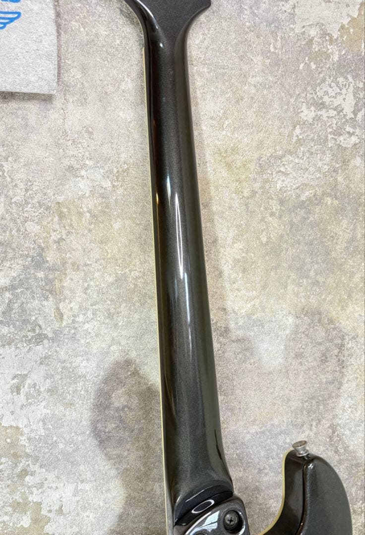 【希少】FERNANDES APG series 整備・清掃・弦交換済み