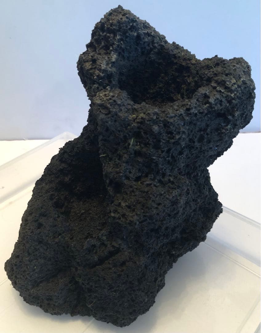 ADA アクアデザインアマノ 雲山石　穴2ヶ所