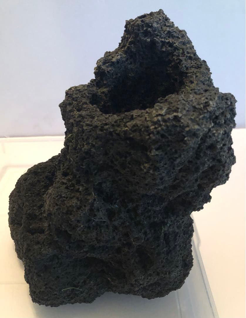 ADA アクアデザインアマノ 雲山石　穴2ヶ所