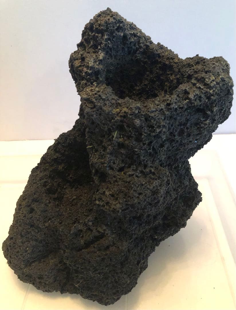 ADA アクアデザインアマノ 雲山石　穴2ヶ所