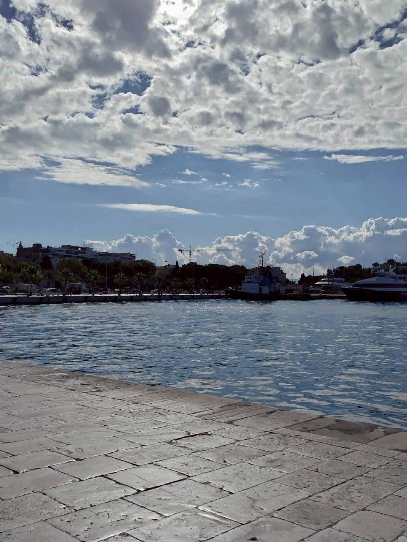 ダルさん専用　Bottega Veneta ホワイトレザーベルト