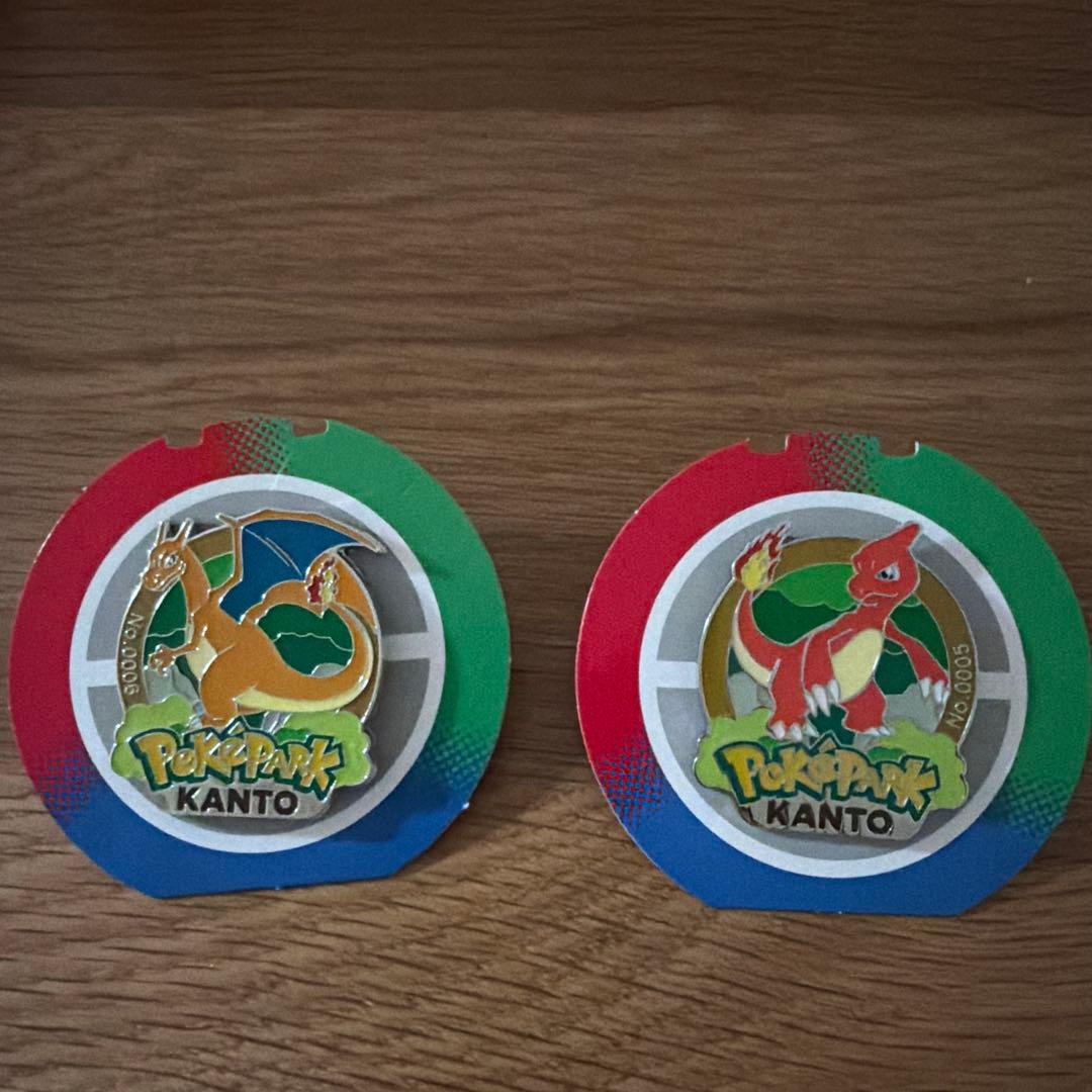 ポケパークカントー　ピンズ　リザードン　リザード