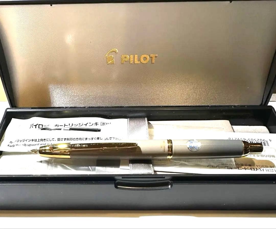 【ナガサワ限定】海岸ストーングレー 万年筆 パイロット キャップレスデシモ FM