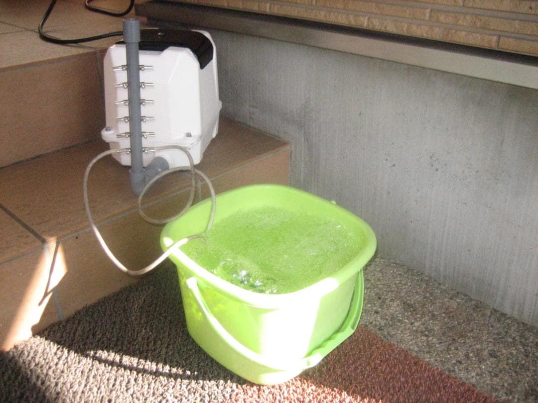 【強力//200L//大晃TKO-200】896 エアポンプ　ブロワー　浄化槽