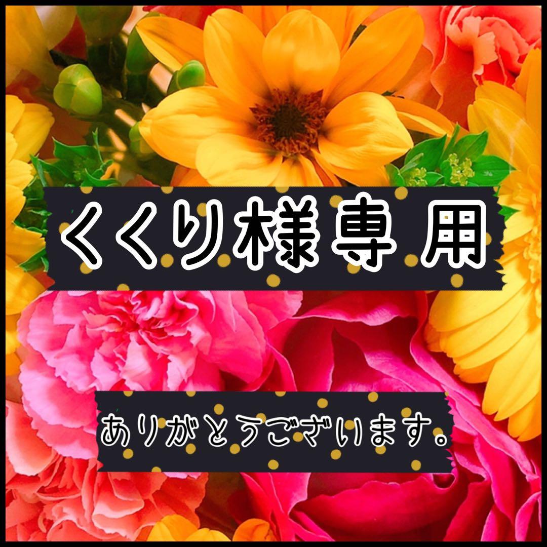 専用♡NO.2500☆ぐで猫 ツギハギ猫 雪 キーホルダー