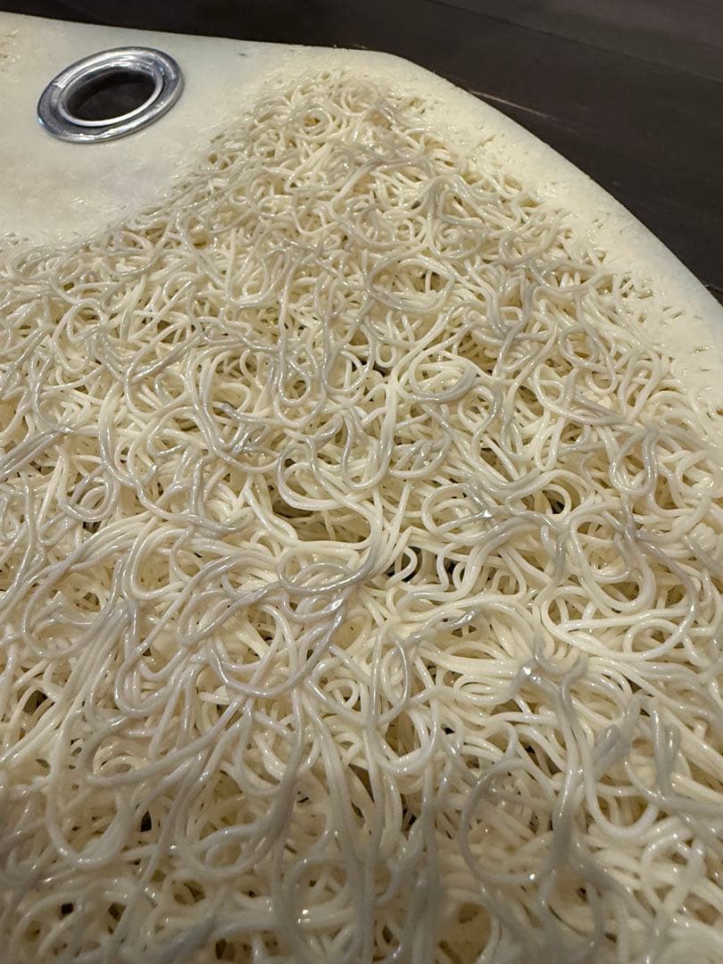 【綺麗め】構造医学研究財団　体圧反応座板　姿勢を良くする　座布団