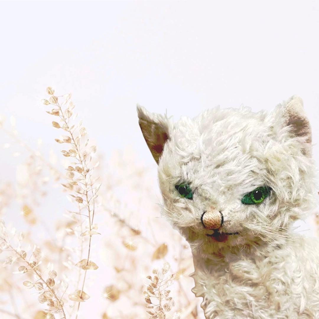 激レアKnickerbockerキティカドルズ 猫 セルカークレックス 限定販売