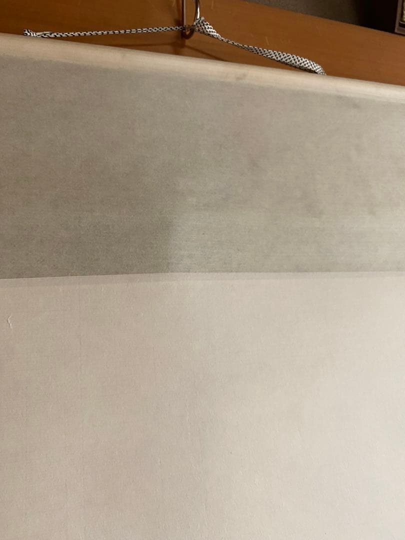 掛軸 長谷川石根作 親を待つ子雀　共箱付