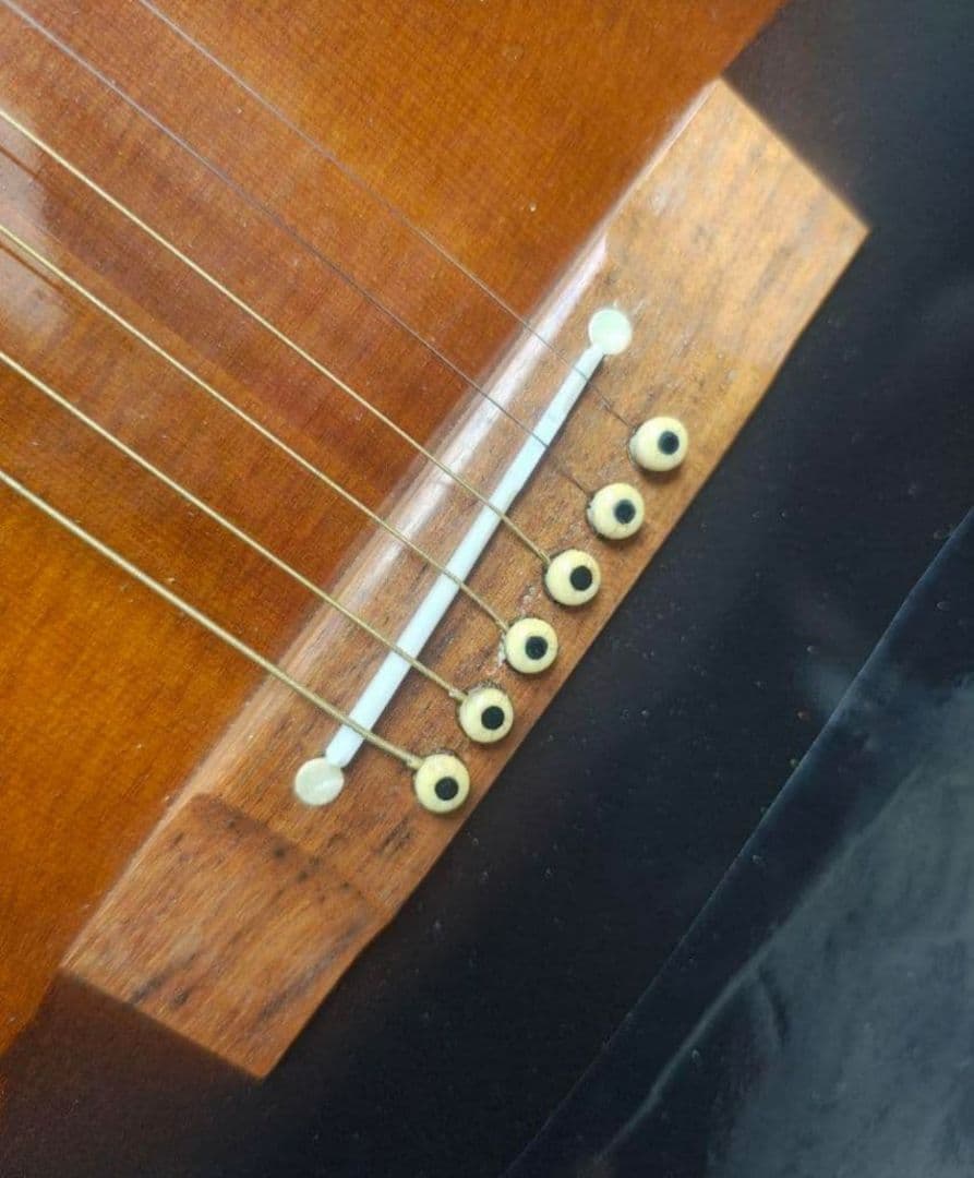 TAKAMINE DSP-410 ニューヨーカー PU付エレアコ 長渕剛