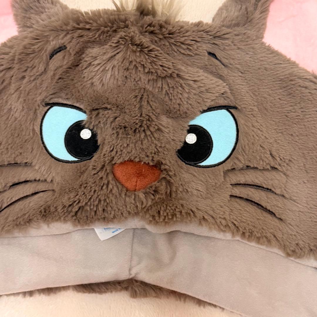 東京ディズニーリゾート ベルリオーズ ファンキャップ ショルダーバッグ セット